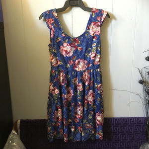 NWOT Hot Topic Blue Lace Dress with Pink Roses